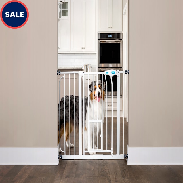 Carlson Pet Products Extra Wide Walk-Thru Pet Gate with Door, 39"-38.5" W x 30" L - Carousel image #1