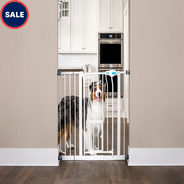 Carlson Pet Products Extra Wide WalkThru Pet Gate with Door, 39"38.5" W x 30" L Petco