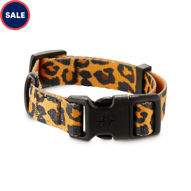 Good2Go Cheetah-Print Dog Collar, Small - Carousel image #1