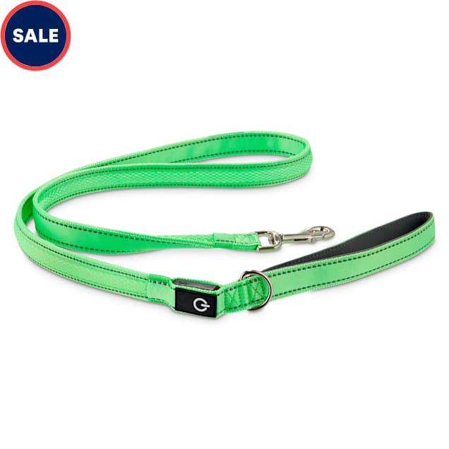 Petco light up collar clearance