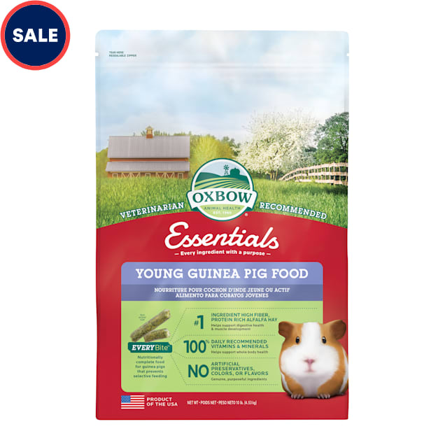 Oxbow Essentials Young Guinea Pig Food, 10 lbs. - Carousel image #1