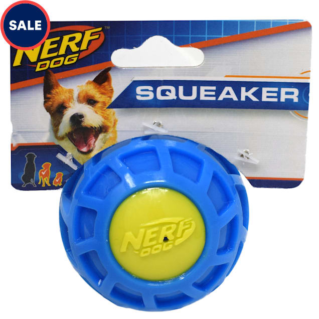 Large Nerf Dog Squeak Ball