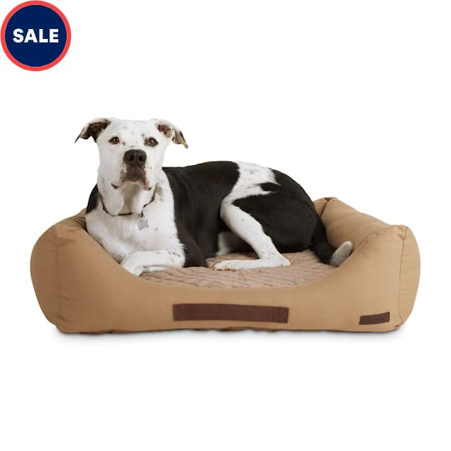 Reddy Lounger Orthopedic Dog Bed