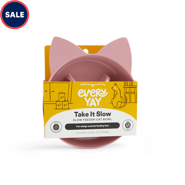 EveryYay Take It Slow Mauve Slow Feeder Cat Bowl, 1.6 Cups Petco