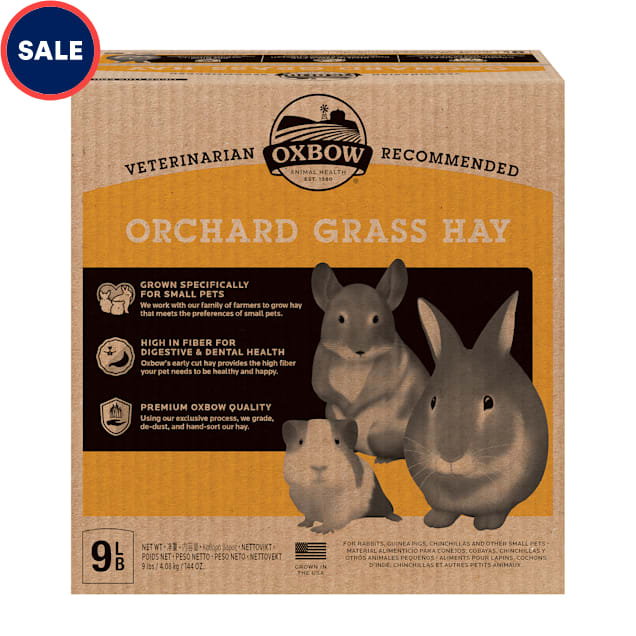 Oxbow Orchard Grass Hay for Rabbit, 9 lbs. - Carousel image #1