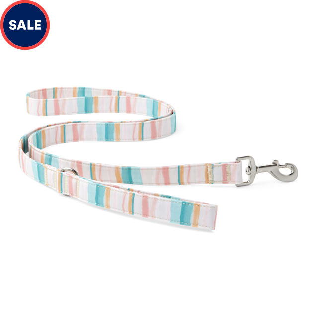 YOULY The Adventurer Multicolor Watercolor Striped Dog Leash, 6 ft. - Carousel image #1