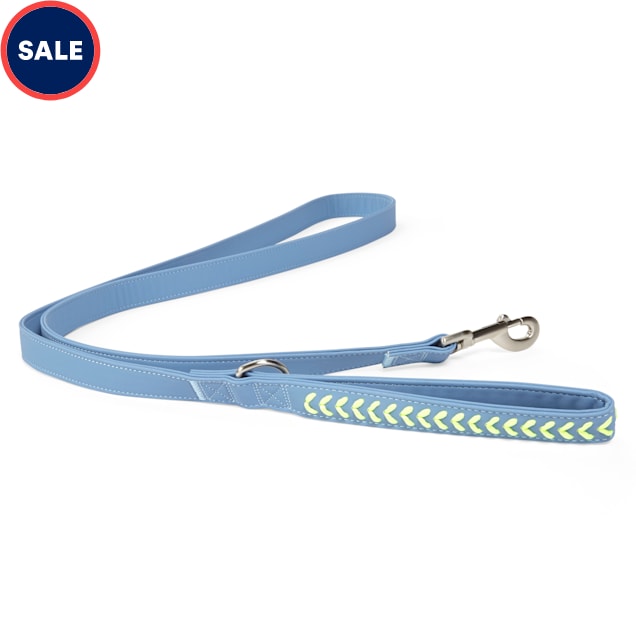 YOULY The Extrovert Blue & Rainbow Braided Dog Leash, 6 ft. - Carousel image #1