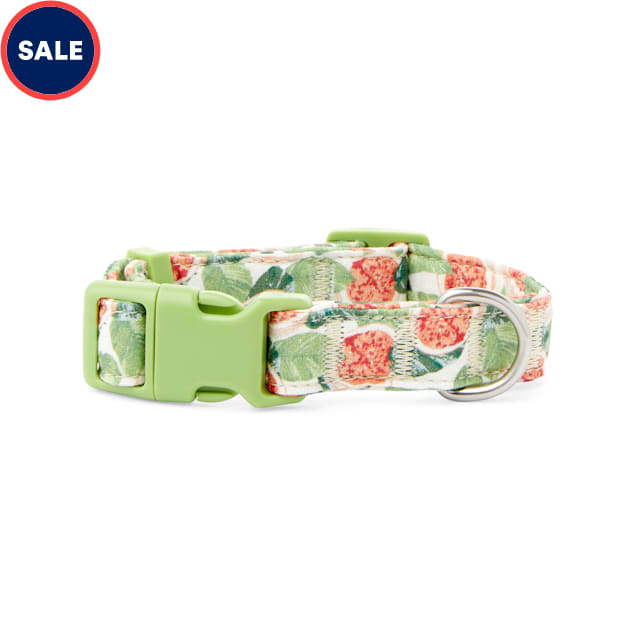 YOULY The Wanderer Green & Multicolor Go Fig-ure Dog Collar, Small - Carousel image #1