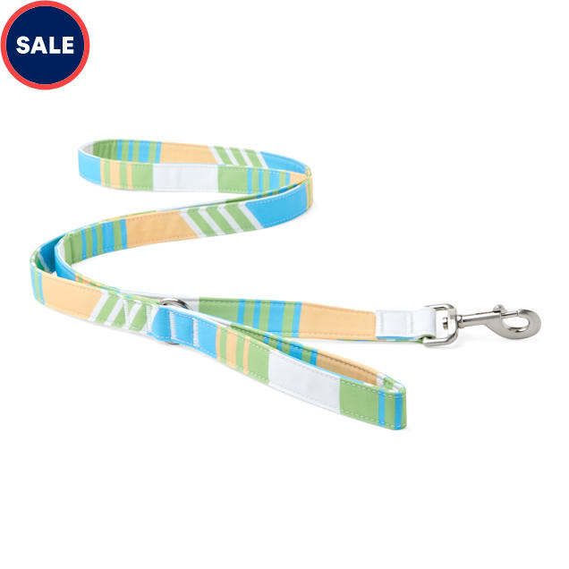 YOULY The Champion Multicolor Striped Dog Leash, 6 ft. - Carousel image #1