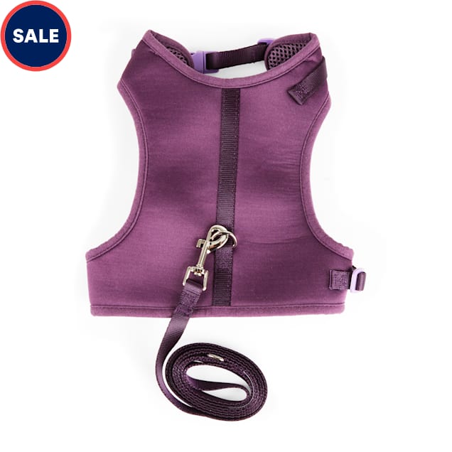 YOULY The Classic Purple Large Cat Harness & Leash Set Petco