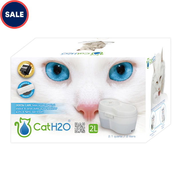 Cat H2O Pet Fountain with Dental Care, 2 Liter Petco