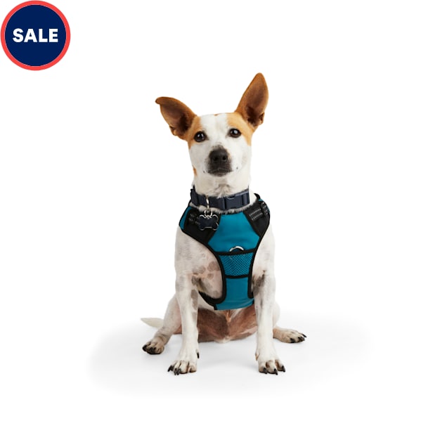 EveryYay Embrace the Pace Teal Reflective Dog Harness, X-Small - Carousel image #1