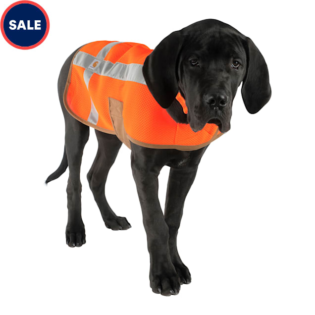carhart dog jacket