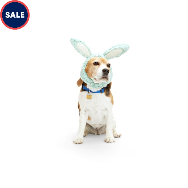 YOULY Blue Easter Bunny Dog Hat, X-Small/Small - Carousel image #1