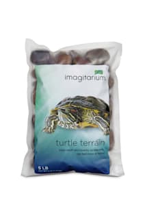 Petco red eared slider clearance