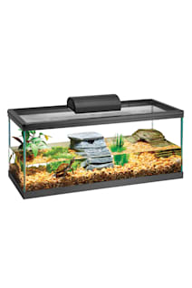 Red Eared Slider Care Sheet: Food, Tank Size, Compatibility