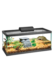 Red Eared Slider Care Sheet Food Tank Size Compatibility Petco