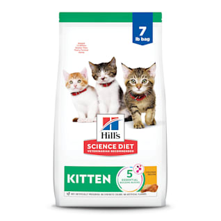 Hill s Science Diet Kitten Food Petco