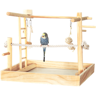 Parakeet sales toys petco