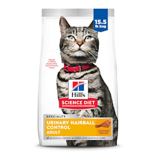 Best cat food hot sale for urinary problems