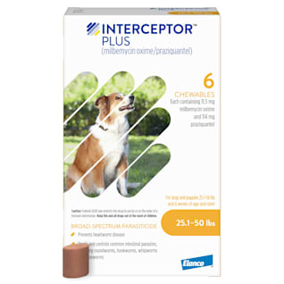 Best otc heartworm medicine for dogs sale