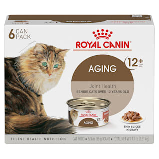 Best cat food for geriatric outlet cats