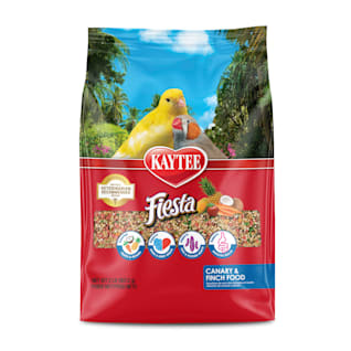 Finch & Canary Food & Supplies: Essentials For Your Pet Bird