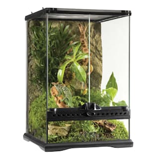 Crested gecko best sale cage decorations