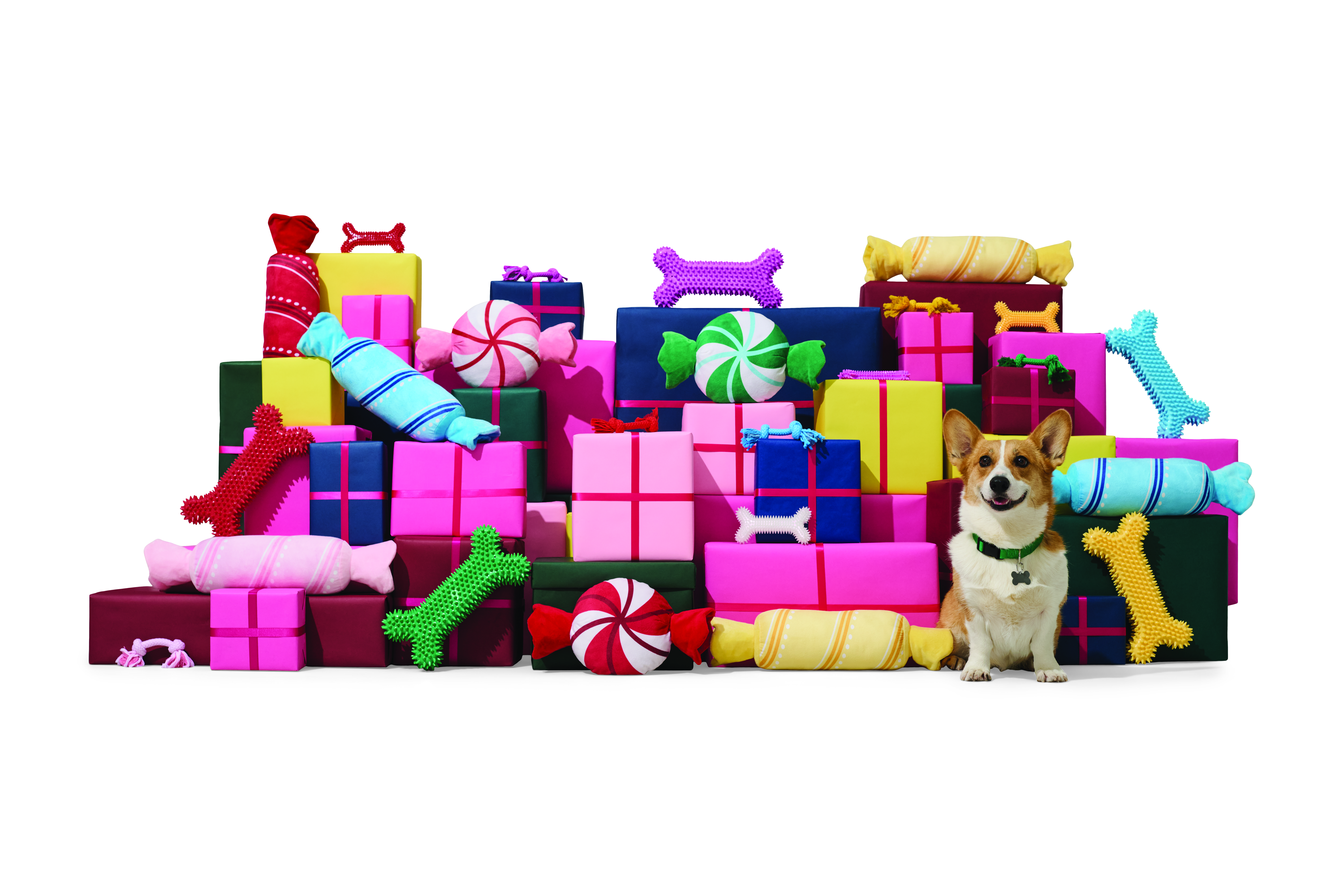 Top 10 Best Holiday Dog Gifts: Treats & Toys Your Pup Will Adore!