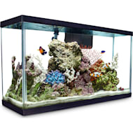 Aquariums, Tanks & Bowls: Small-Large Tanks | Petco