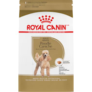 Royal Canin Dry Dog Food Petco