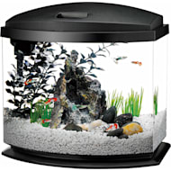 Aqueon led cheap 15 column petco