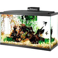 Aqueon led 15 column petco store