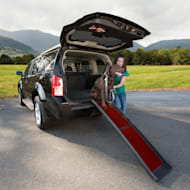 Kurgo wander 2025 dog ramp