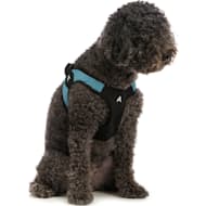 Gooby dog shop harness petco