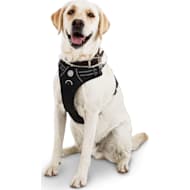 Good to go dog harness hot sale