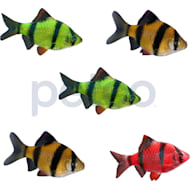 Petco glofish new arrivals