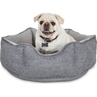 Harmony Dog Beds More Petco