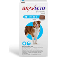 Bravecto prescription store