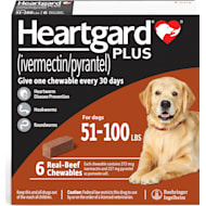 Dog pain clearance meds petco