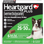 Dog pain meds petco hotsell