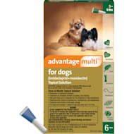 Buy advantage 2025 for dogs