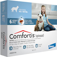 Comfortis outlet