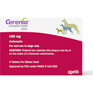 Anti nausea medication for dogs 2025