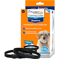 ThunderEase mint Calming Dog Collar