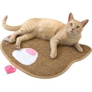 Kitty City Petco