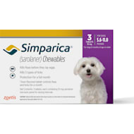 Simparica for Dogs Flea Tick Medication Petco