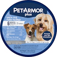 Dog Recovery Cones Surgical Suits Petco
