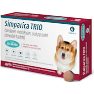 Flea tick sale pills dogs