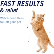 Cost of frontline for cats sales
